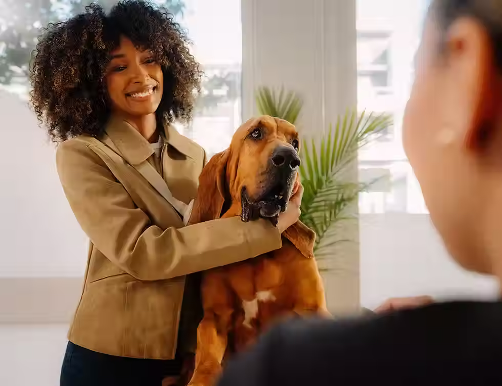 Woman and a dog a vet reception