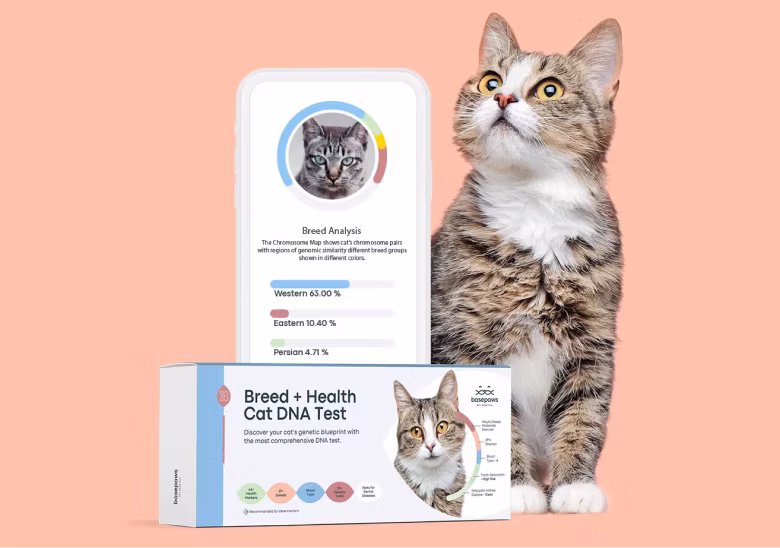 Basepaws DNA Testing.avif