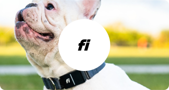 TryFi