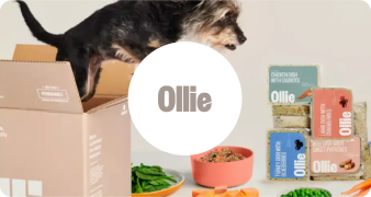 MyOllie